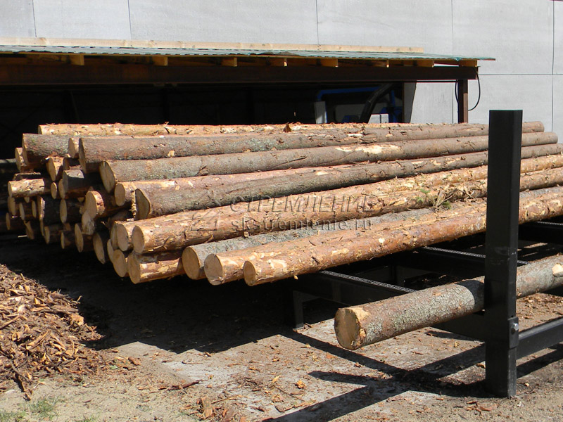 Летняя и зимняя древесина для частного домостроения: особенности и различия каждого вида